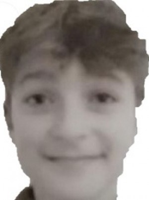BERTI