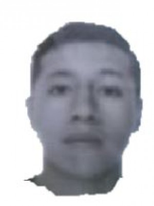 ARMIJOS VARGAS