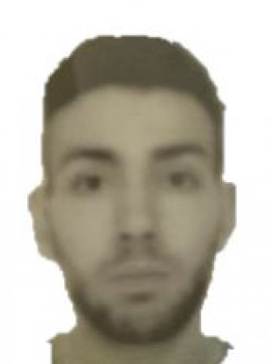 BORTINI