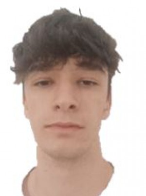 BOTTINO