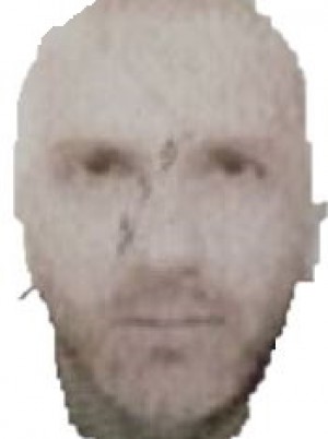 BOZZINI