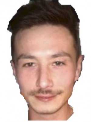 BOZZO