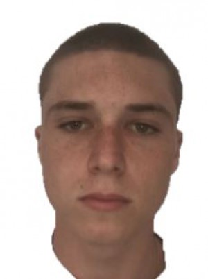 BOZZO VANNI