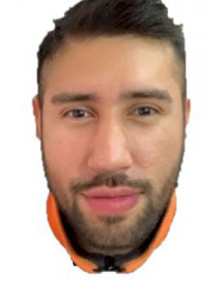 BRITO VALLEJO