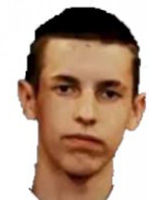 CARLINI