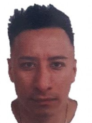 CARRENO GUERRERO