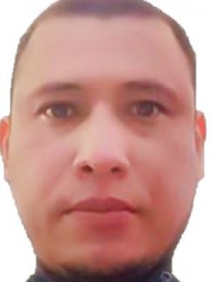 CASANOVA PALMA