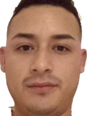 COELLO GOMEZ