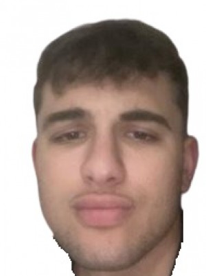 VOLPE