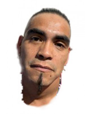 LAGOMARSINO