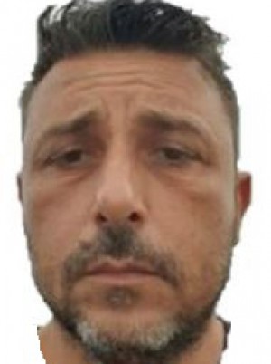 BOLINO