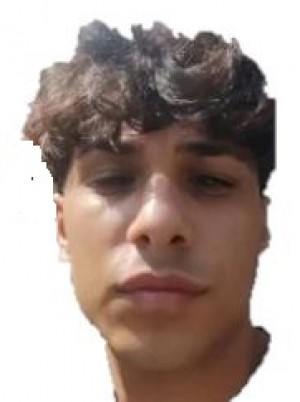 DE GIORGIO