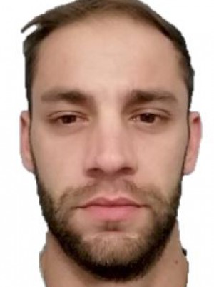 DELFINO