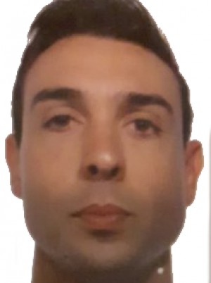DELFINO