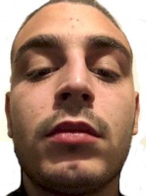 DELVIGO