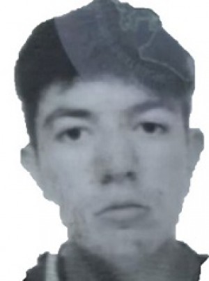 D'ERRIGO