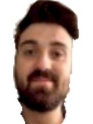 DINI