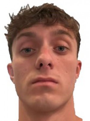 DI VINCENZO