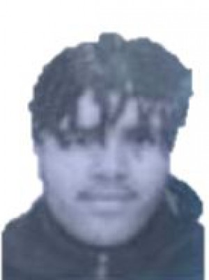 DI VUONO