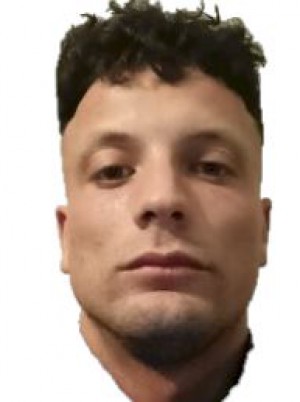 DOMI