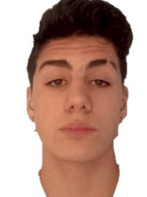 SERRATORE