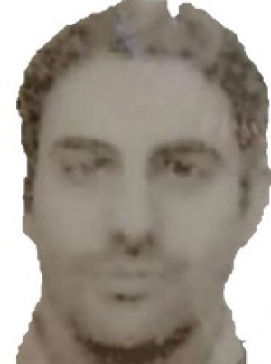 ERSINI