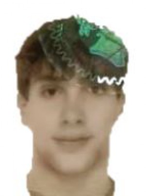 FALANGA