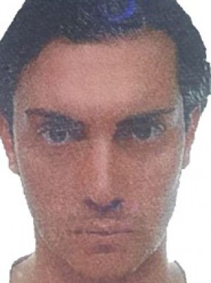 FARININI