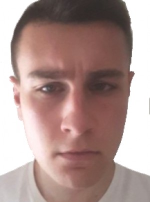 FERINI