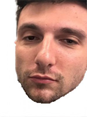 BERGAMINI