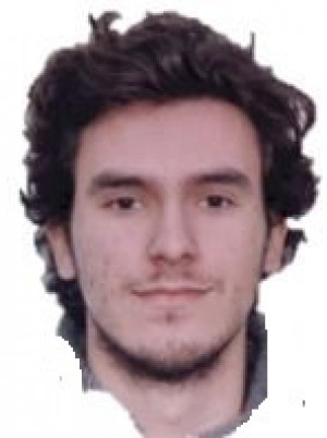 DAPINO
