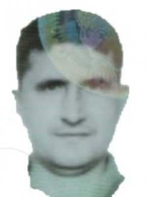 FLORES HERANDEZ