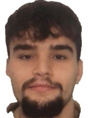 FRESCHI
