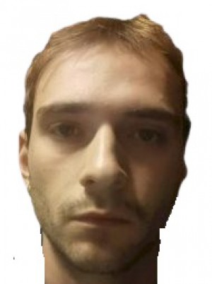 MANZOTTI