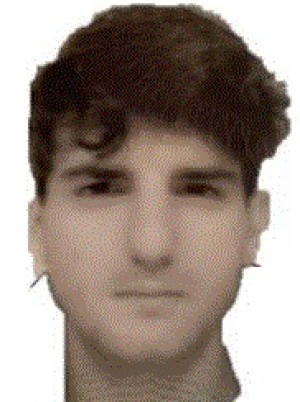 GAMBARO