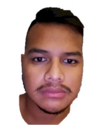 GARZON FLORES