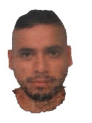 GARZON TAMAYO