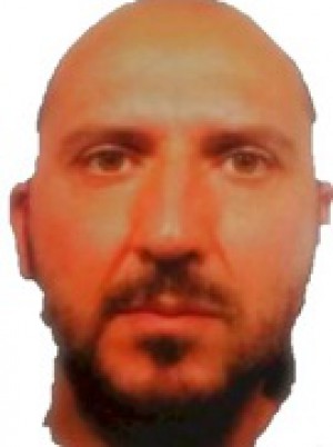 GATTULLI