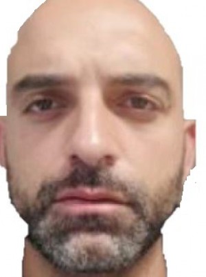 GERMINO