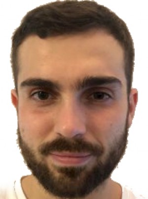 GESI
