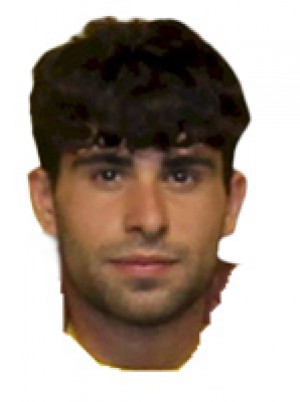 FORMIGA