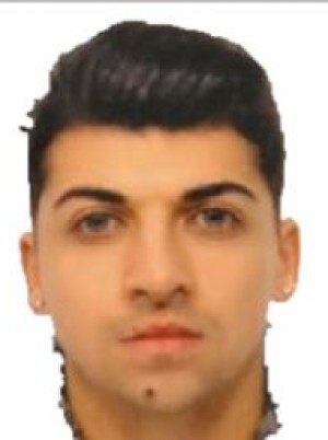 GIOIA