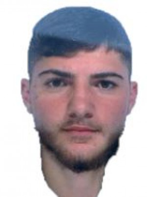 NAPOLITANO
