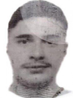 COPPOLA PROVITERA