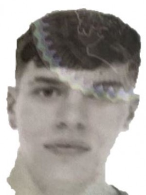 GUERNIERI
