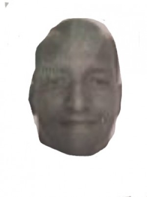 PENA ANGULO