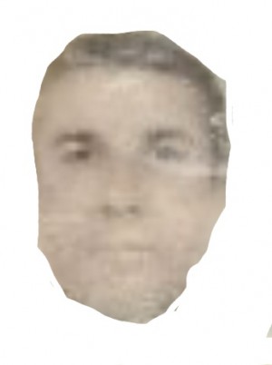 MAZZOTTI