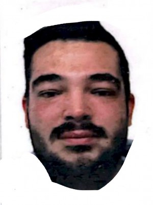 NOVELLO