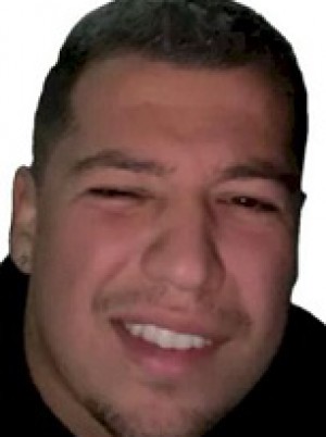 INSELVINI