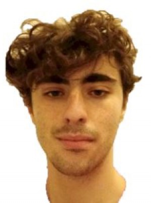 IVALDI